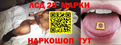 амф Камышлов