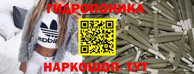 амф Камышлов