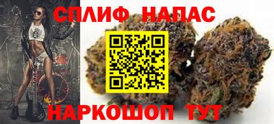 индика Кандалакша