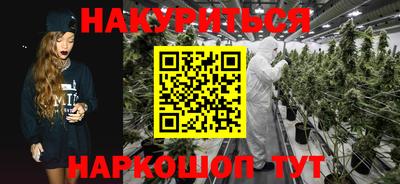 индика Кандалакша