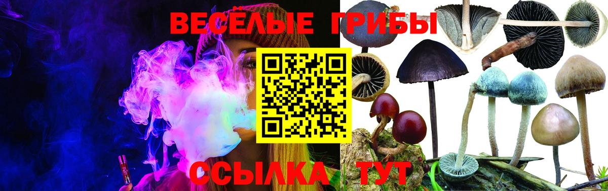 Галлюциногенные грибы MAGIC MUSHROOMS  Псилоцибиновые грибы Cubensis  Шебекино  Вход с VPN 